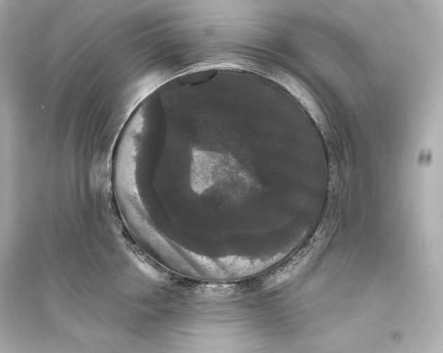 X0000094810858200711301550