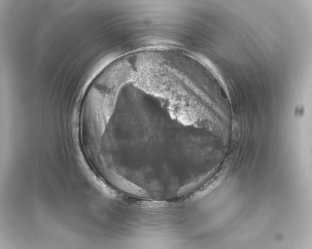 X0000094810859200711301550