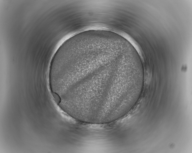 X0000094810861200711301550