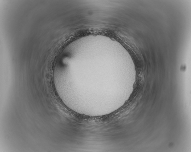 X0000094810865200711301549