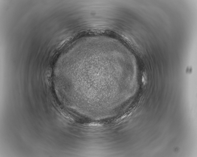 X0000094810867200711301549