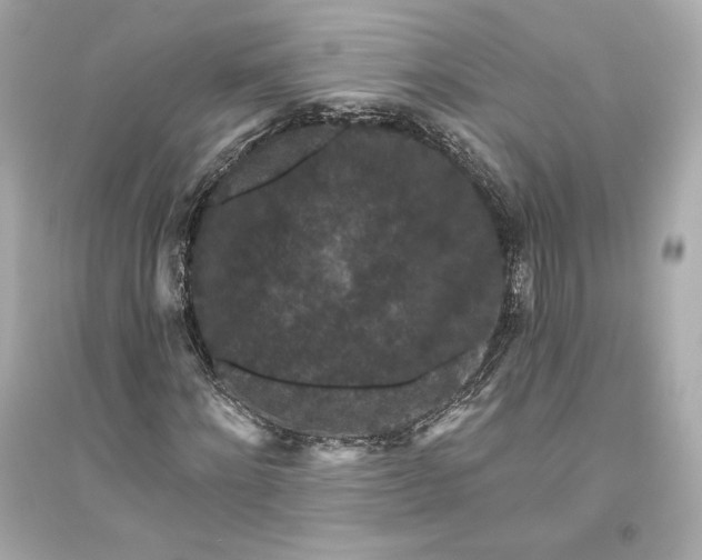 X0000094810868200711301549