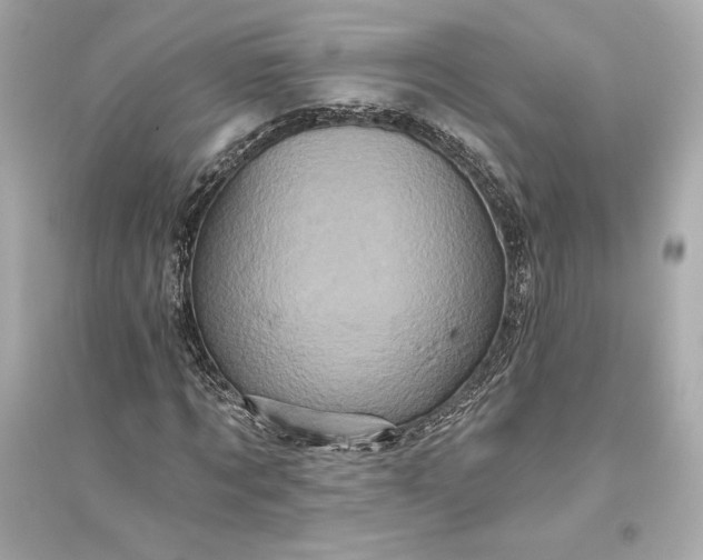 X0000094810869200711301549