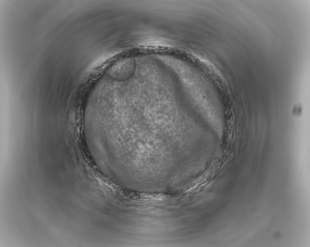 X0000094810870200711301549