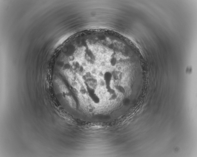 X0000094810871200711301549