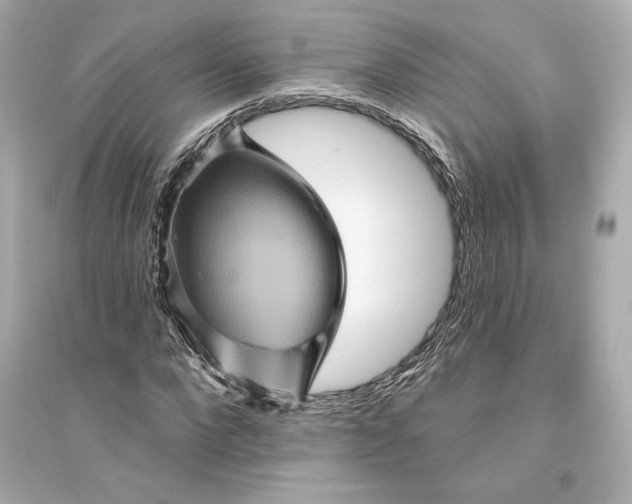 X0000094810872200711301549