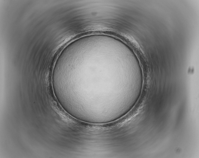 X0000094810873200711301549