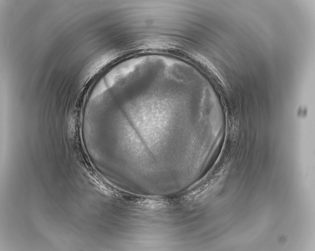 X0000094810874200711301549