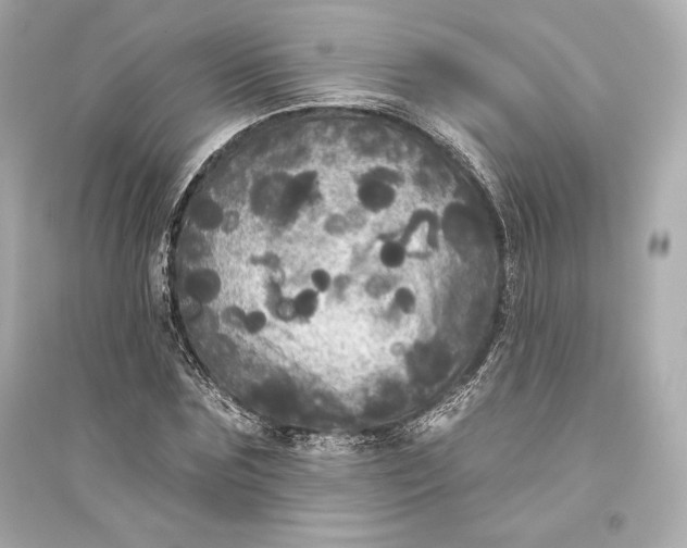 X0000094810875200711301549