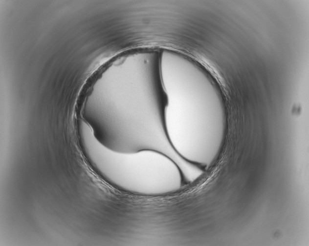 X0000094810876200711301549