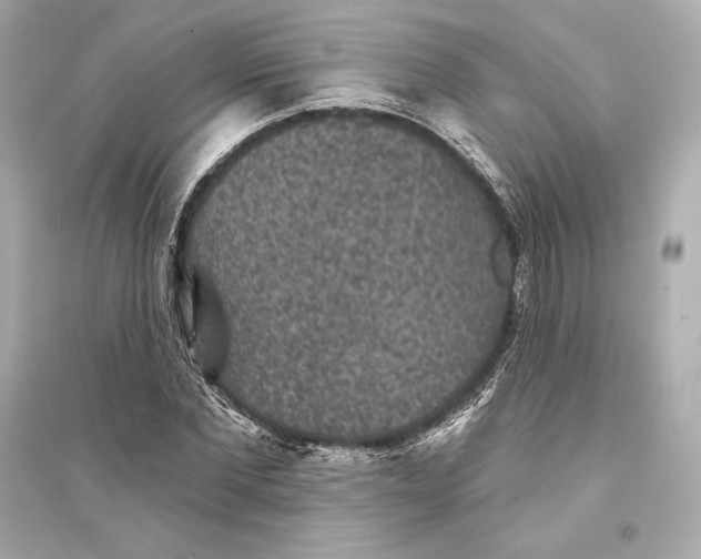 X0000094810877200711301549