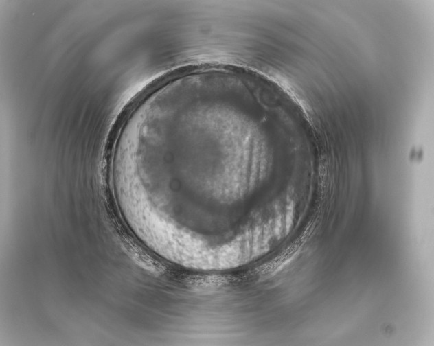 X0000094810879200711301549