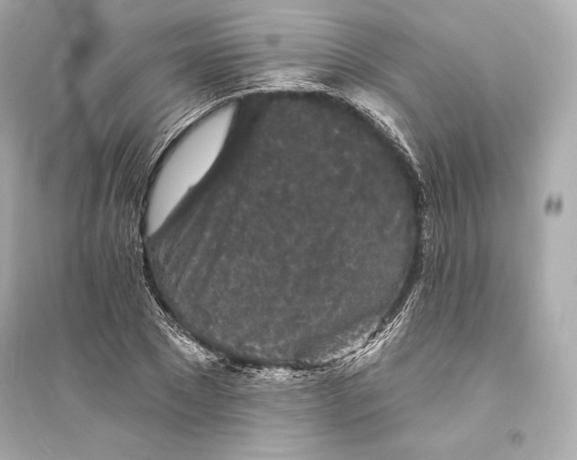 X0000094810881200711301549