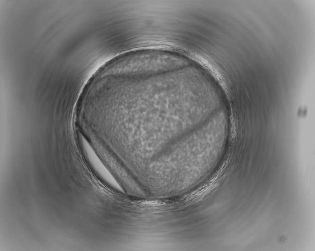 X0000094810883200711301549