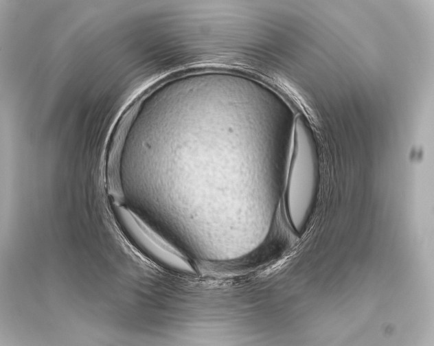 X0000094810884200711301549