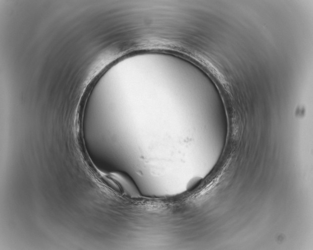 X0000094810885200711301549