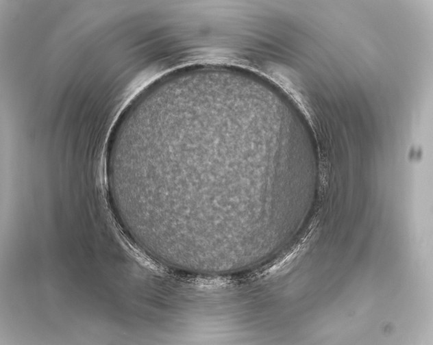 X0000094810887200711301549