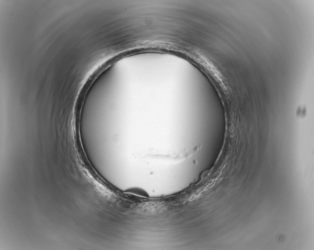 X0000094810888200711301549