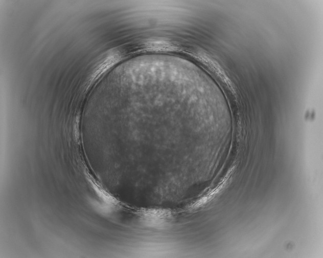 X0000094810889200711301549