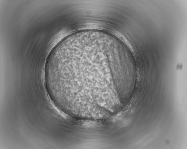 X0000094810890200711301549