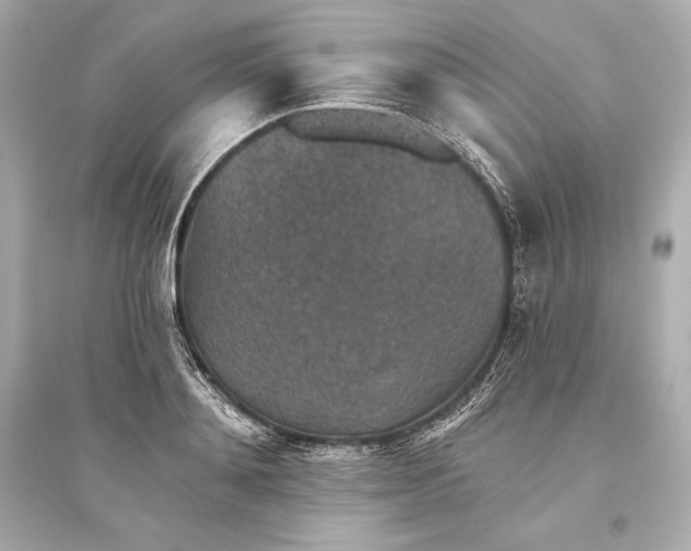 X0000094810892200711301549