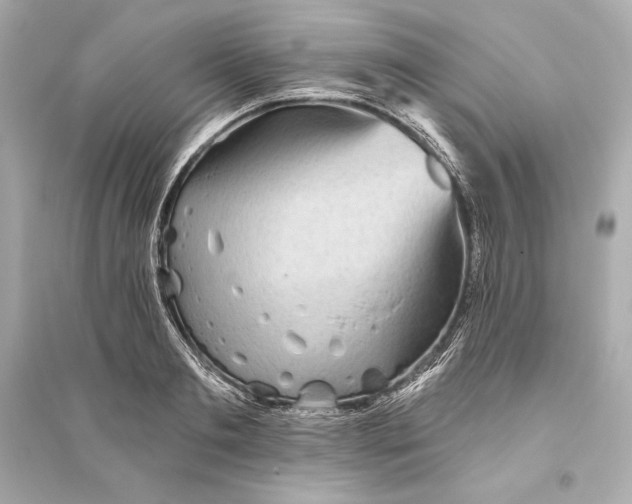 X0000094810893200711301549