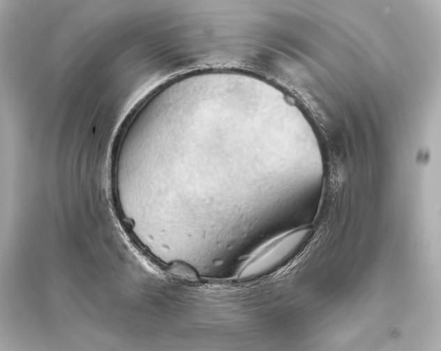 X0000094810894200711301549