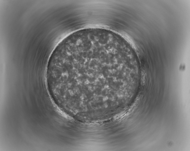 X0000094810895200711301549