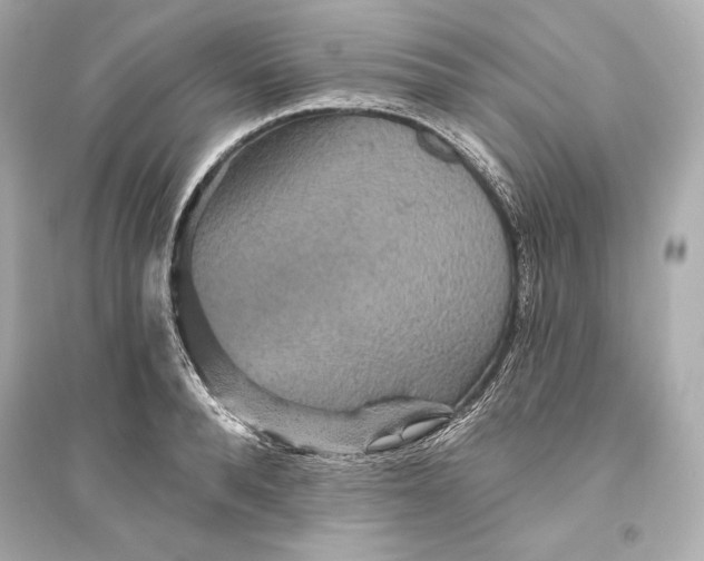 X0000094810896200711301549