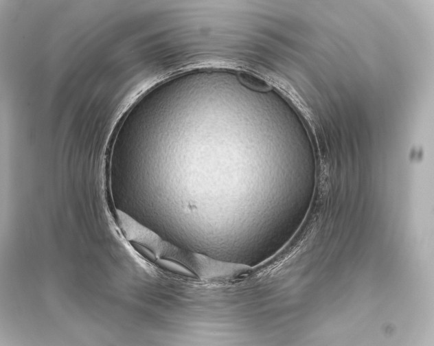 X0000094810898200711301549