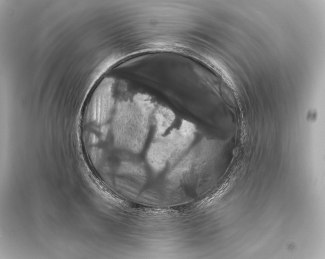 X0000094810899200711301549