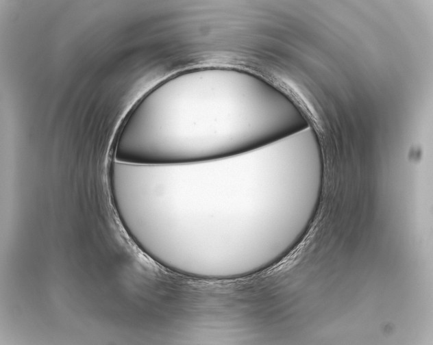 X0000094810900200711301549