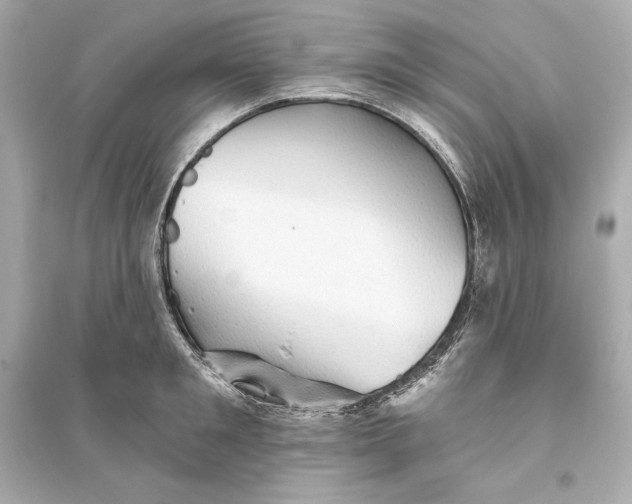 X0000094810901200711301549