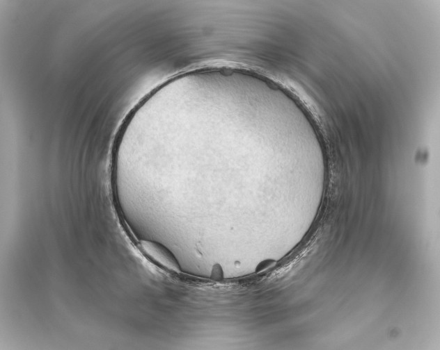 X0000094810902200711301549