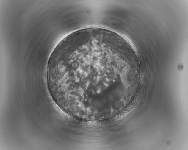 X0000094810903200711301549