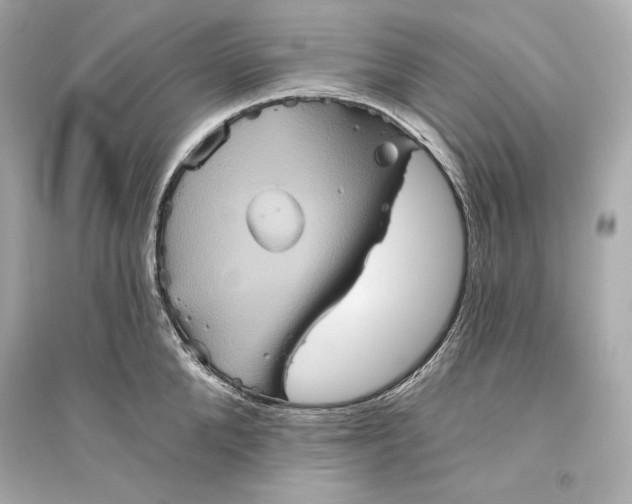 X0000094810904200711301549