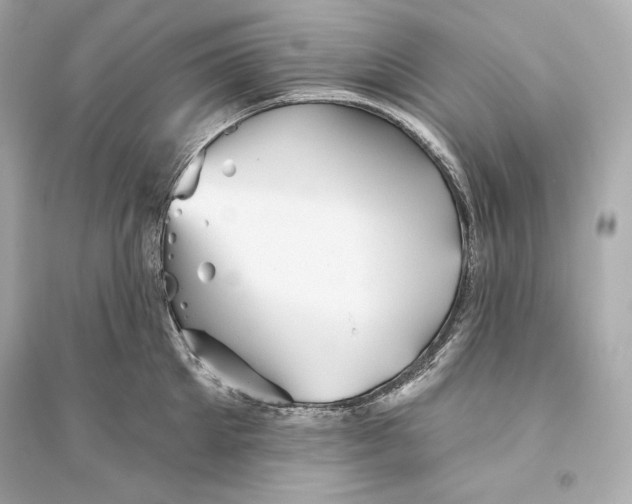 X0000094810905200711301549