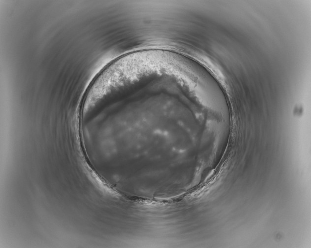 X0000094810907200711301549