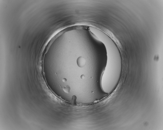 X0000094810908200711301549