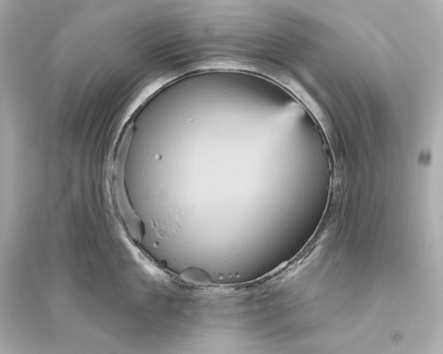 X0000094810909200711301549