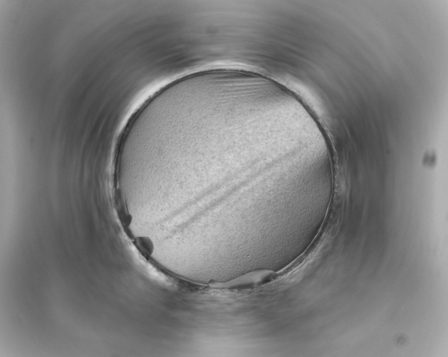 X0000094810910200711301549