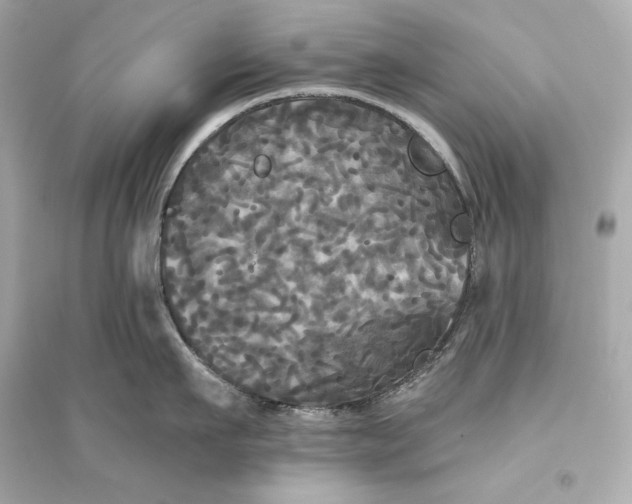 X0000094810911200711301549