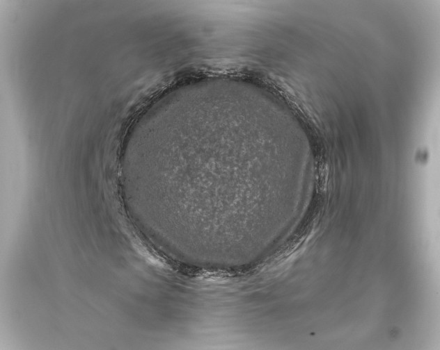 X0000094810913200711301548