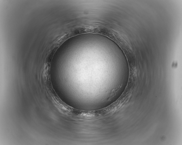 X0000094810914200711301548