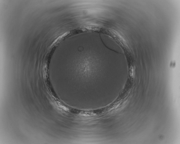 X0000094810915200711301548