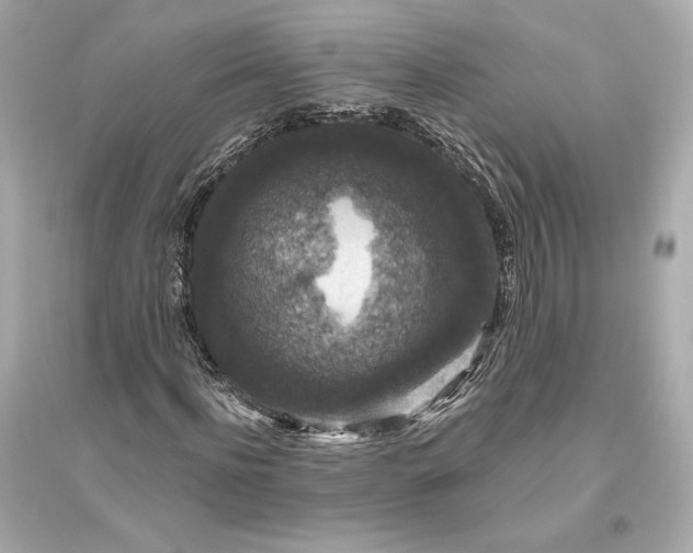 X0000094810916200711301548