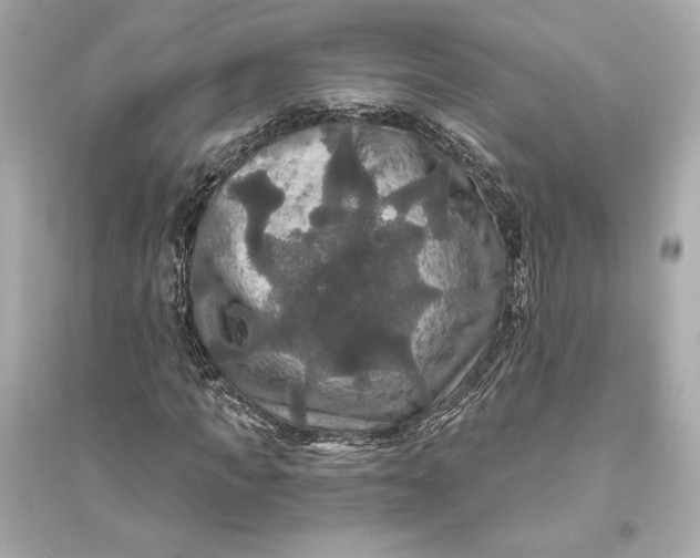 X0000094810917200711301548