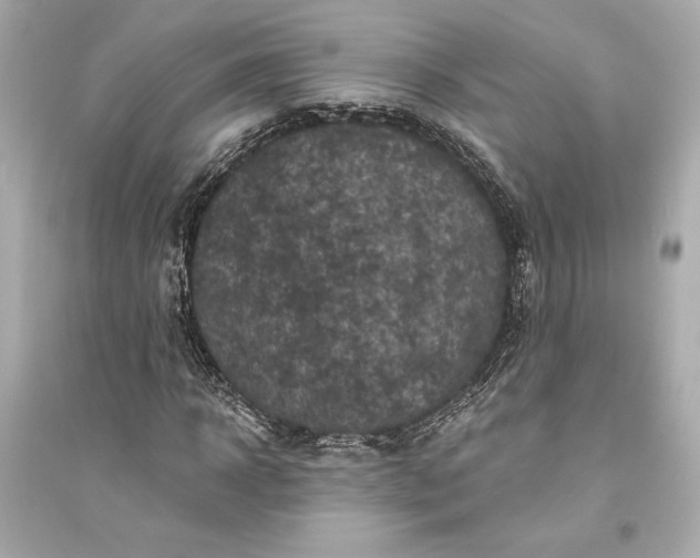 X0000094810918200711301548