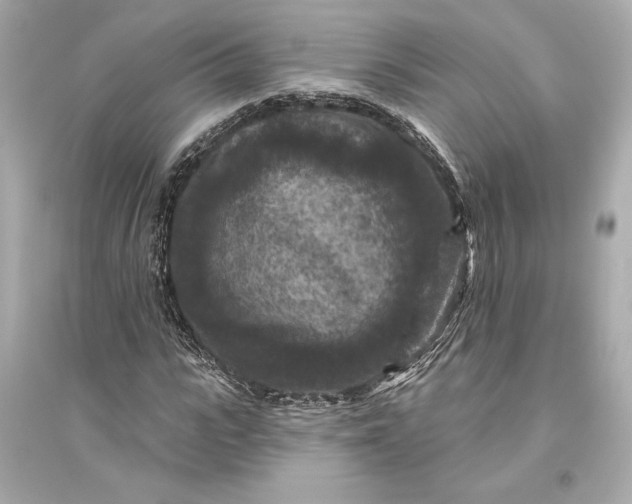 X0000094810919200711301548