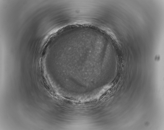 X0000094810920200711301548